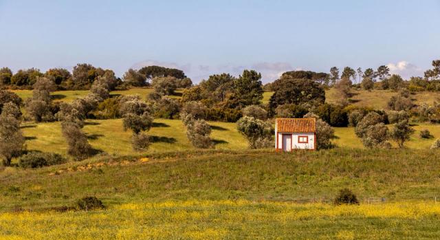 Aragón toma medidas en IRPF e ITP contra la despoblación en su Ley de dinamización del medio rural Aragón incrementa sus deducciones en IRPF e ITPAJD en la Ley de dinamización del medio rural. Imagen de una casa blanca y roja en mitad de un prado